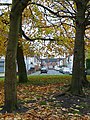 Autumn trees and Shaw Road in Blakenhall, Wolverhampton - geograph.org.uk - 2150612.jpg