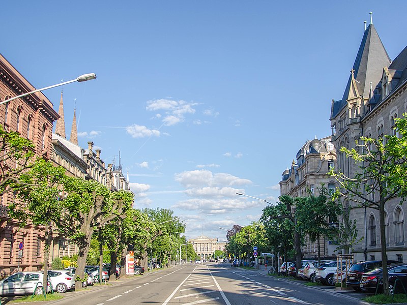 File:Avenue de la liberté (43633488914).jpg