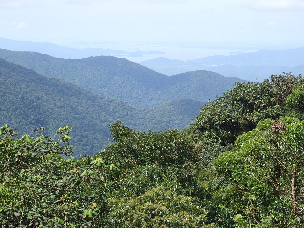 Forest types under the study. a Site 1; b Site 2; c Site 3; d Site 4; e