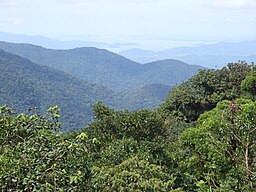 Atlantskogen ovanför Antonina, Paraná