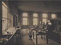 Thumbnail for Balfour Biological Laboratory for Women