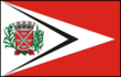 Vlag van Tarumã