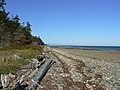 Beach at Rathtrevor Provincial Park.JPG