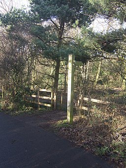Beacon Way in the Sandwell Valley Country Park - geograph.org.uk - 1126556