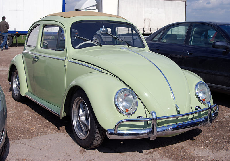 File:Beetle (3408658959).jpg