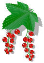 Berries.svg