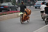 Bicyclette et poulets, Suzhou, Chine English: Bike and Chicken, Suzhou, China
