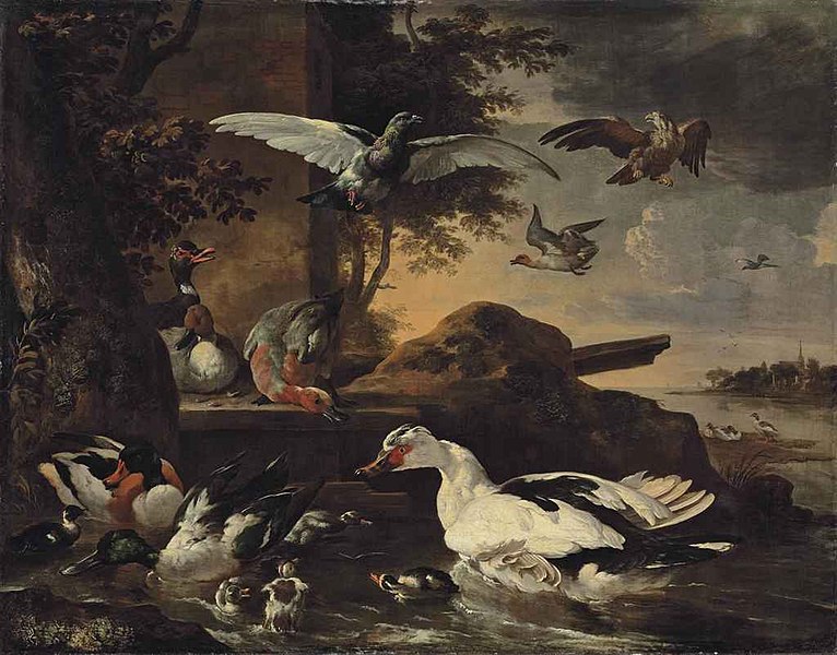 File:Birds on the bank of a river.jpg