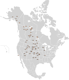 History of bison conservation in Canada