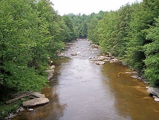 The Blackwater River in Blackwater Falls State Park