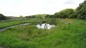 Illustrasjonsbilde av artikkelen Parc Blondin