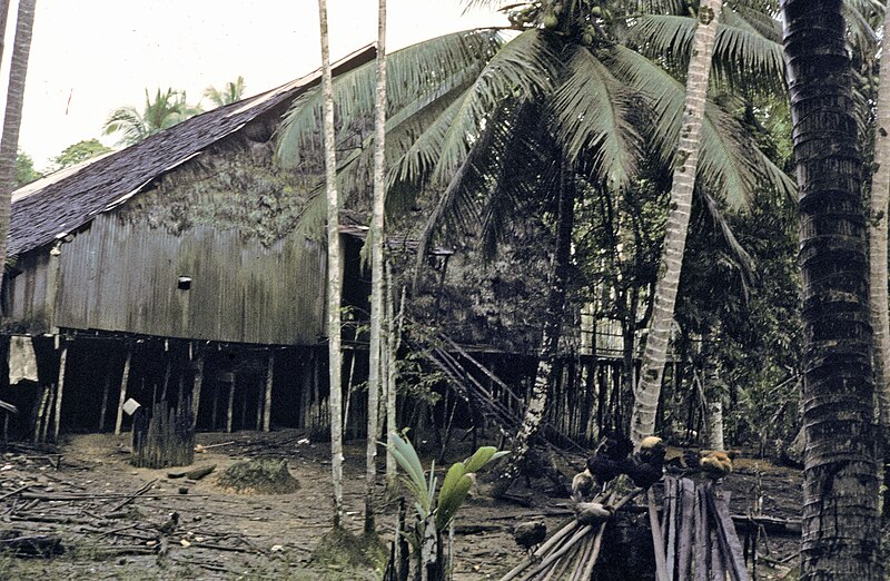 File:Borneo1981-020.jpg