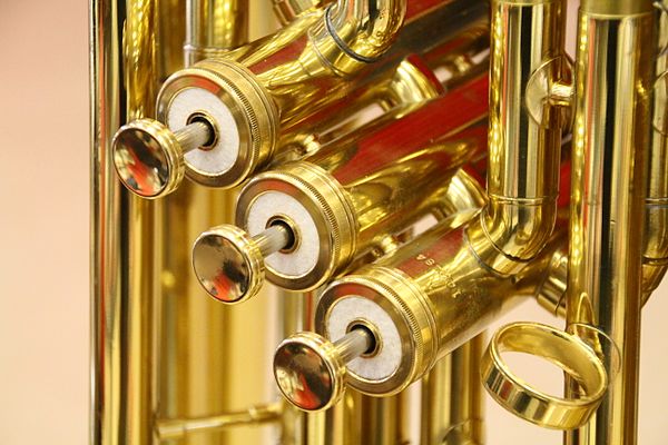 Brass instrument piston valves