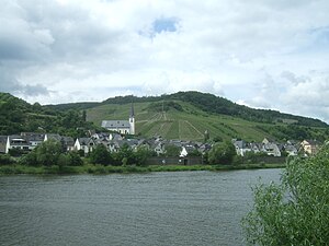 Briedel på Mosel