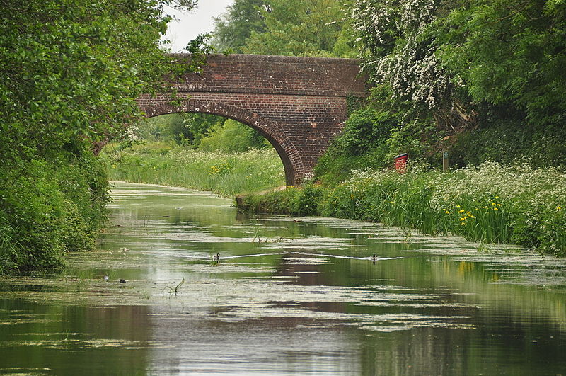 File:Buckland Bridge over the Grand Western Canal (4282).jpg