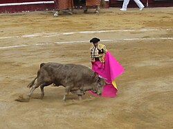 A bullfight in Bogota, a legacy of Spanish culture. The practice of bullfighting is criticized by numerous organizations in Colombia. It remains legal in the country. Bullfight-Bogota-1.jpg