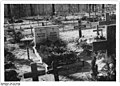Bundesarchiv Bild 183-S93765, Dresden, Heidefriedhof, Gräber.jpg