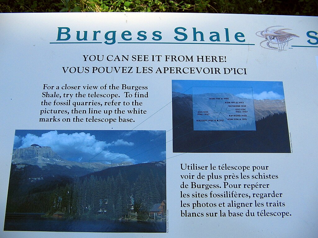 Burgess shale dating