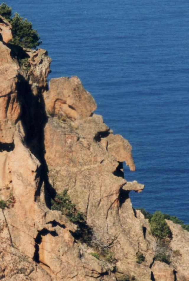 File:Calanche_head.jpg