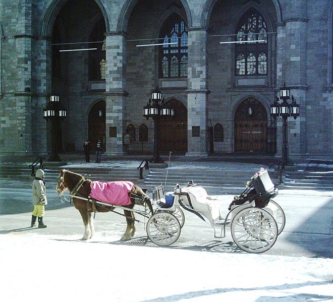 File:Caleche Vieux-Montreal Hiver.JPG