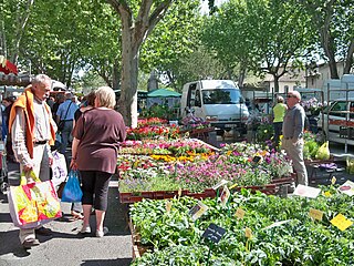 Le marché aux Platanes