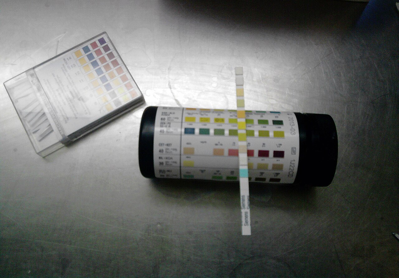 The image depicts a bottle of test strips for urine samples. The strip contains many squares that represent different factors being tested. The bottle has a chart to determine the different levels a well as a chart in the background