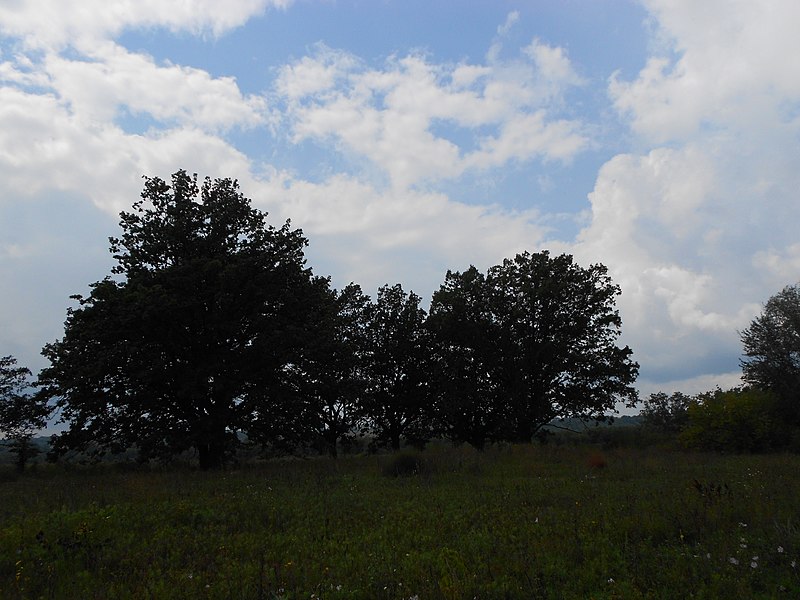 File:Cherkas'kyi district, Cherkas'ka oblast, Ukraine - panoramio (223).jpg