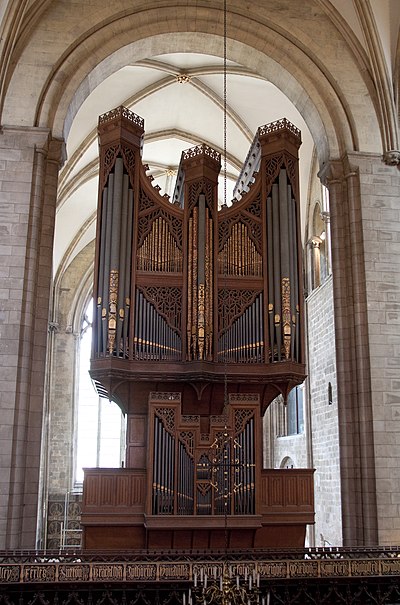 Main organ