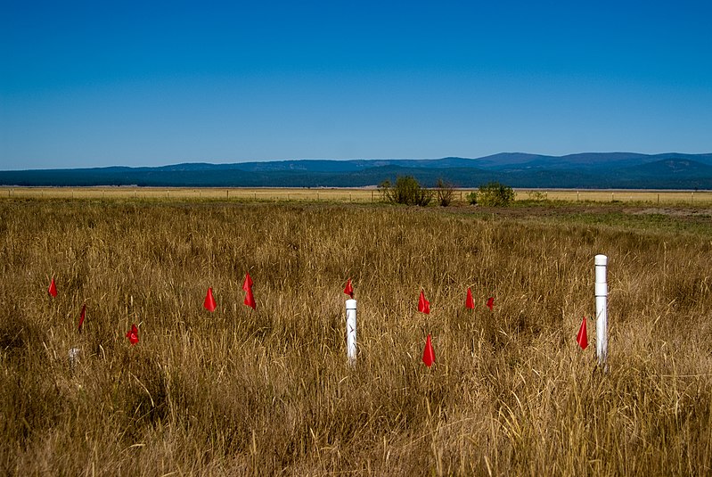 File:Chocktoot Delta Restoration Project (5429409746).jpg