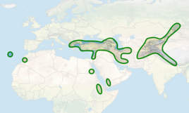 Mapa výskytu rodu cizrna