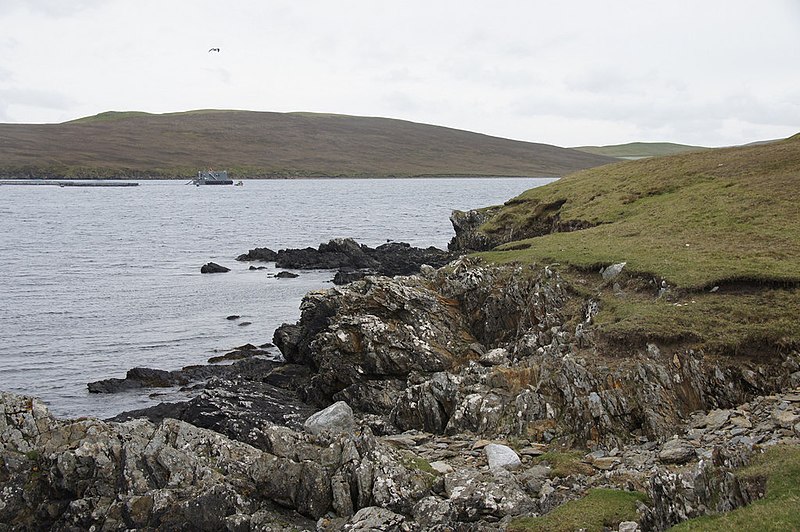 File:Coast of Lax Firth south of Otter Point - geograph.org.uk - 3981396.jpg