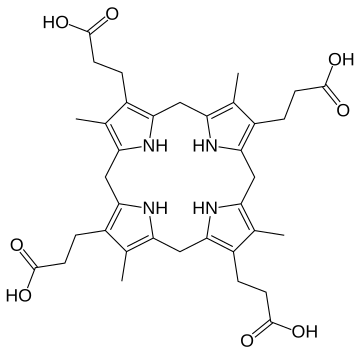 Coproporphyrinogen I