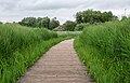 * Nomination Boardwalk at Cosmeston Lakes Country Park, Wales. --BigDom 05:26, 6 July 2023 (UTC) * Promotion  Support Good quality. --SHB2000 02:53, 7 July 2023 (UTC)