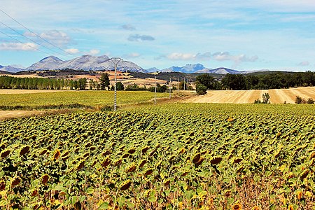 Countryside Landscape Palencia 2