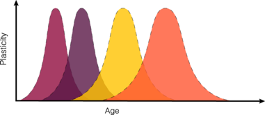 Functional Emotional Developmental Capacities Basic Chart