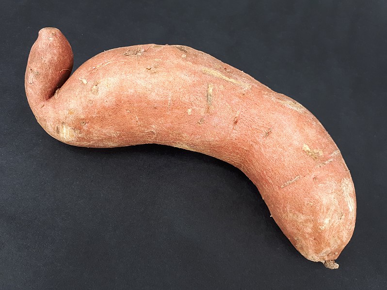 File:Curved sweet potato 2017 A1.jpg