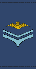 File:Danish-Airforce-OR-2.svg