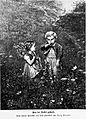 Die Gartenlaube (1880) b 461.jpg Von der Nessel gestraft