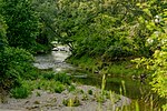 Melkfluss-Teilbereich in der Diemling