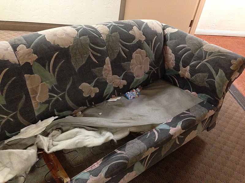 File:Dirty Couch 6 2013-09-08.jpg