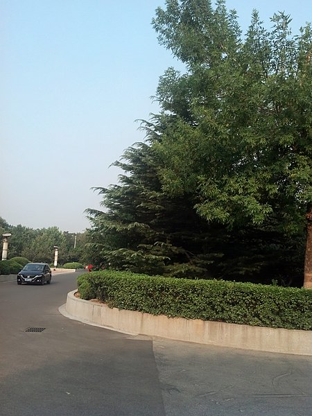 File:Dongying, Shandong, China - panoramio (578).jpg