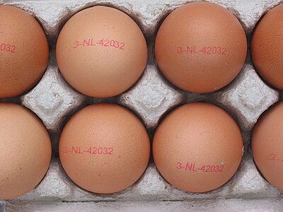 Des œufs marqués dans une boîte à œufs.