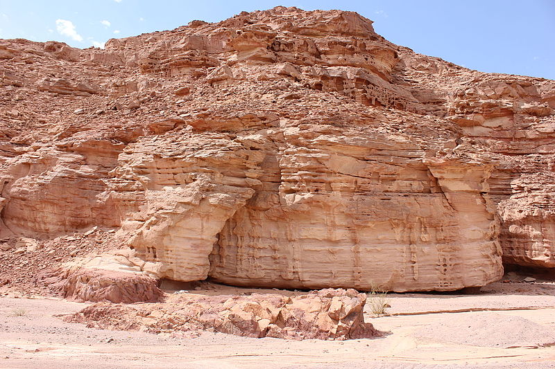 File:Ein Khadra Desert Oasis 00 (125).JPG