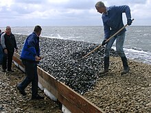 PU-containing sea defenses being installed on Hallig Grode, an island off the German coast Elastocoast Groede.jpg