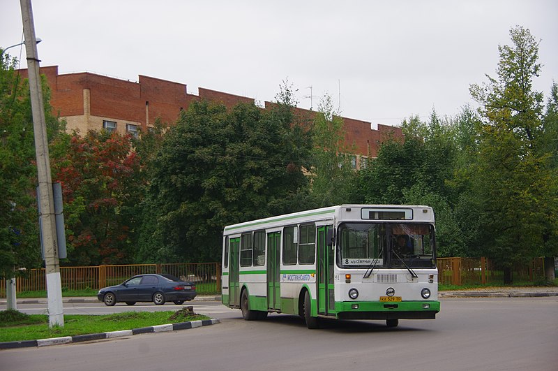 File:Elektrostal, Moscow Oblast, Russia - panoramio (85).jpg