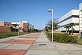 Daytona Beach campus: College of Business building (left), Legacy walkway (center) and College of Aviation building (right)