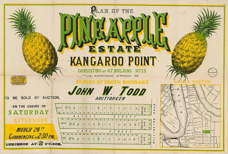 File:Estate map of the Pineapple Estate, Kangaroo Point, Brisbane, ca. 1890s (7505241522).jpg