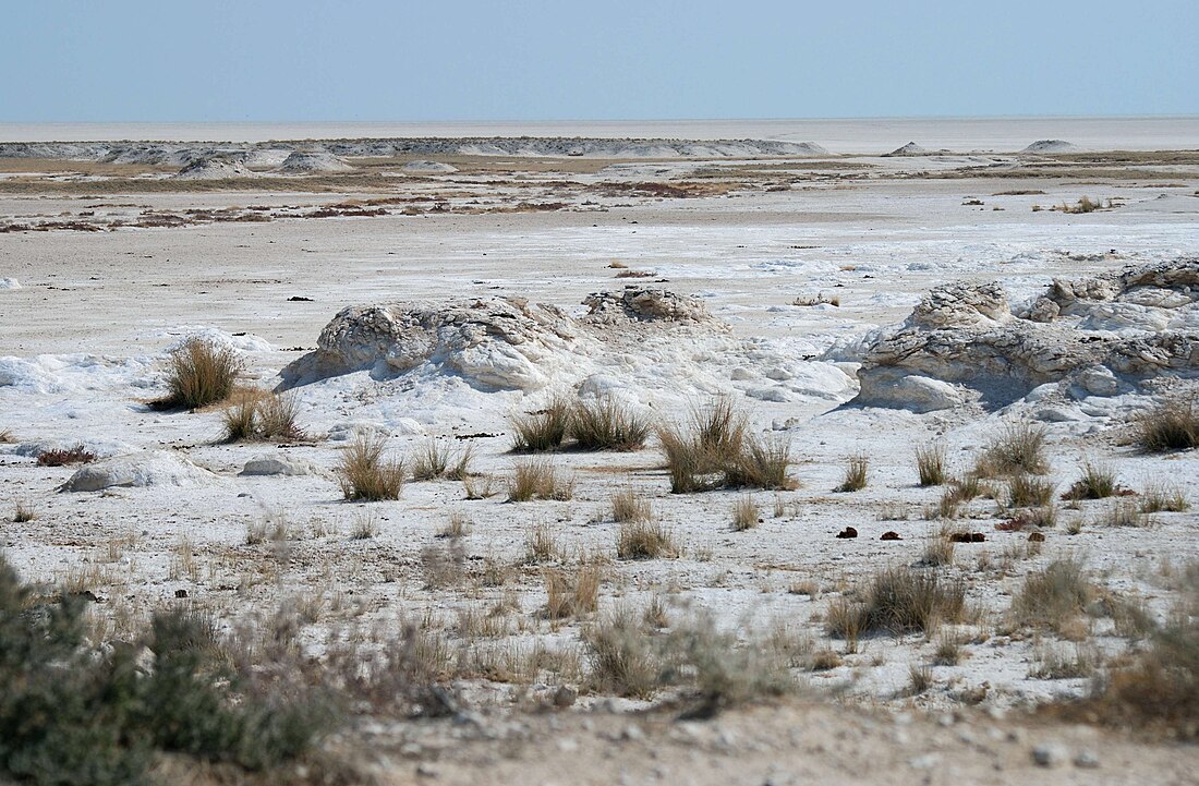 Salobral de la depresión de Etosha