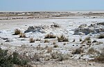 Miniatura para Salobral de la depresión de Etosha