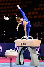 European Championships 2022-08-19 Junior Men All-around competition Subdivision 1 (Norman Seibert) - DSC 5139.jpg